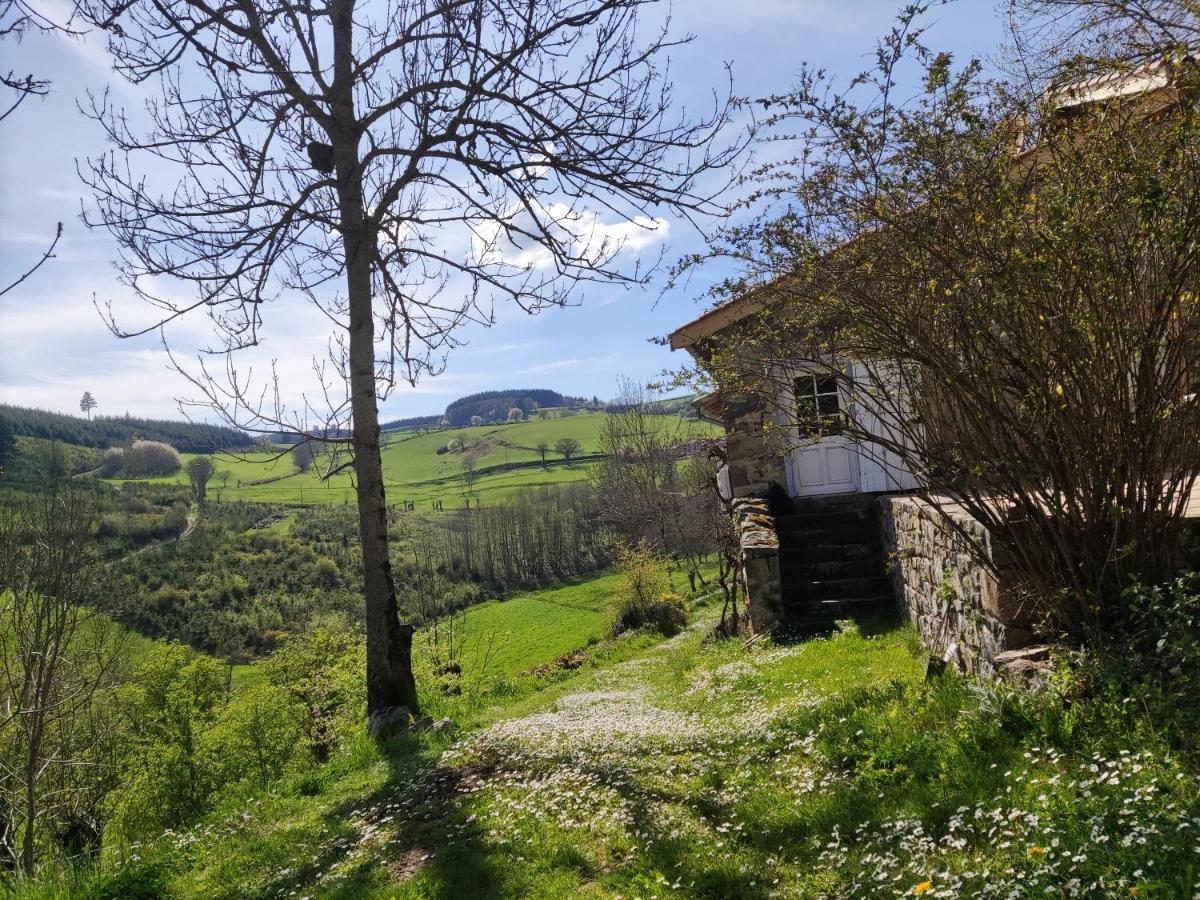 Maison De Charme Dans La Nature 8 Personnes Villa Saint-Didier-sur-Beaujeu Exterior photo